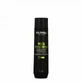 Goldwell Dual Senses Antiroos Shampoo 300ml