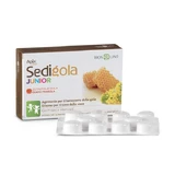 Apix Propolis Sedigola Junior Erdbeere 20 Tabletten