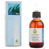 Yarrow 51 50ml Mother Tincture