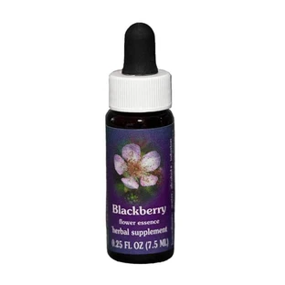 Natur Brombeere (Rubus Ursinus) Kalifornische Essenzen 7.4ml