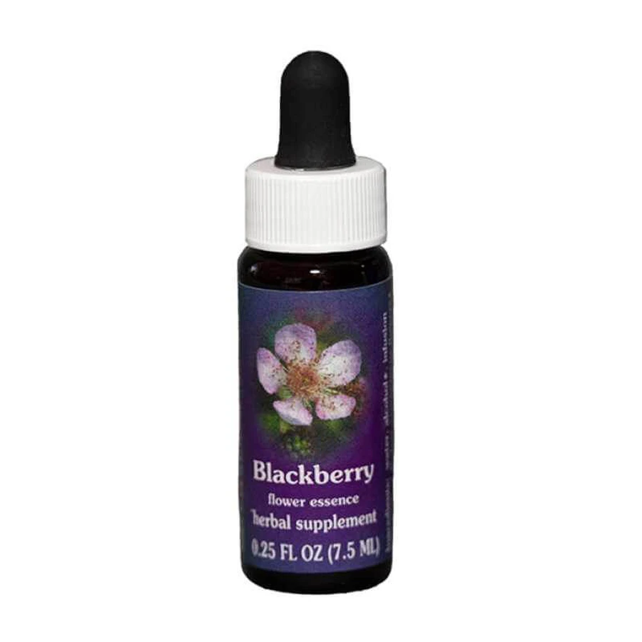 Natur Brombeere (Rubus Ursinus) Kalifornische Essenzen 7.4ml