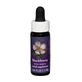 Natur Zarzamora (Rubus Ursinus) Esencias Californianas 7.4ml