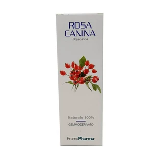 Hagebutte Gemmoderivate 50 Ml