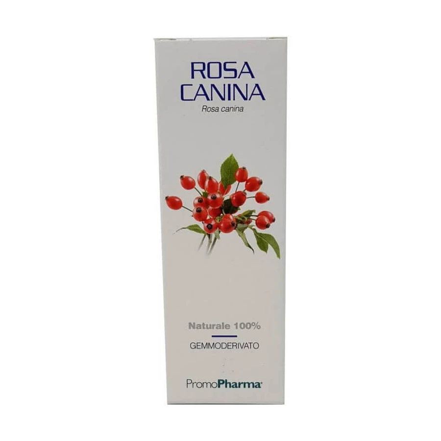 Hagebutte Gemmoderivate 50 Ml