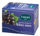 Viropa Black Currant 15bust
