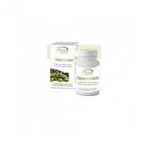 Rubigen Opergreencafe' Afslanksupplement 60 Capsules