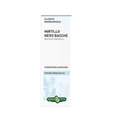 Heidelbeere Beere Hydroalkoholische Tinktur 50 Ml Ebv