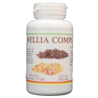 Boswellia Kompott I Sani Bio 100 Kapseln