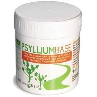 Psyllium Base Powder 120g