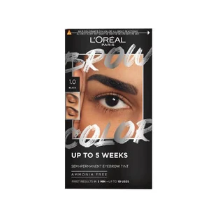 L OREAL BROW TINT 1.0 SCHWARZ