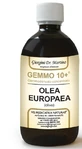Oliwka 500ml bezalkoholowa Gemmo 10+ Giorgini