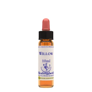Essence de saule 10ml