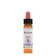 Essence de saule 10ml