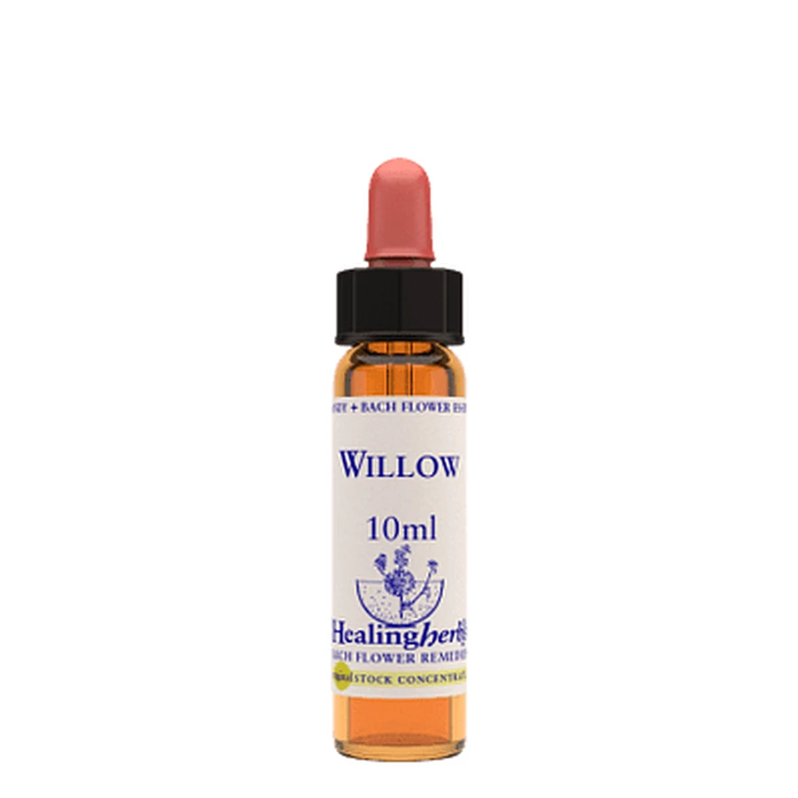 Essence de saule 10ml