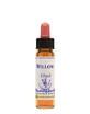 Willow Essence 10ml