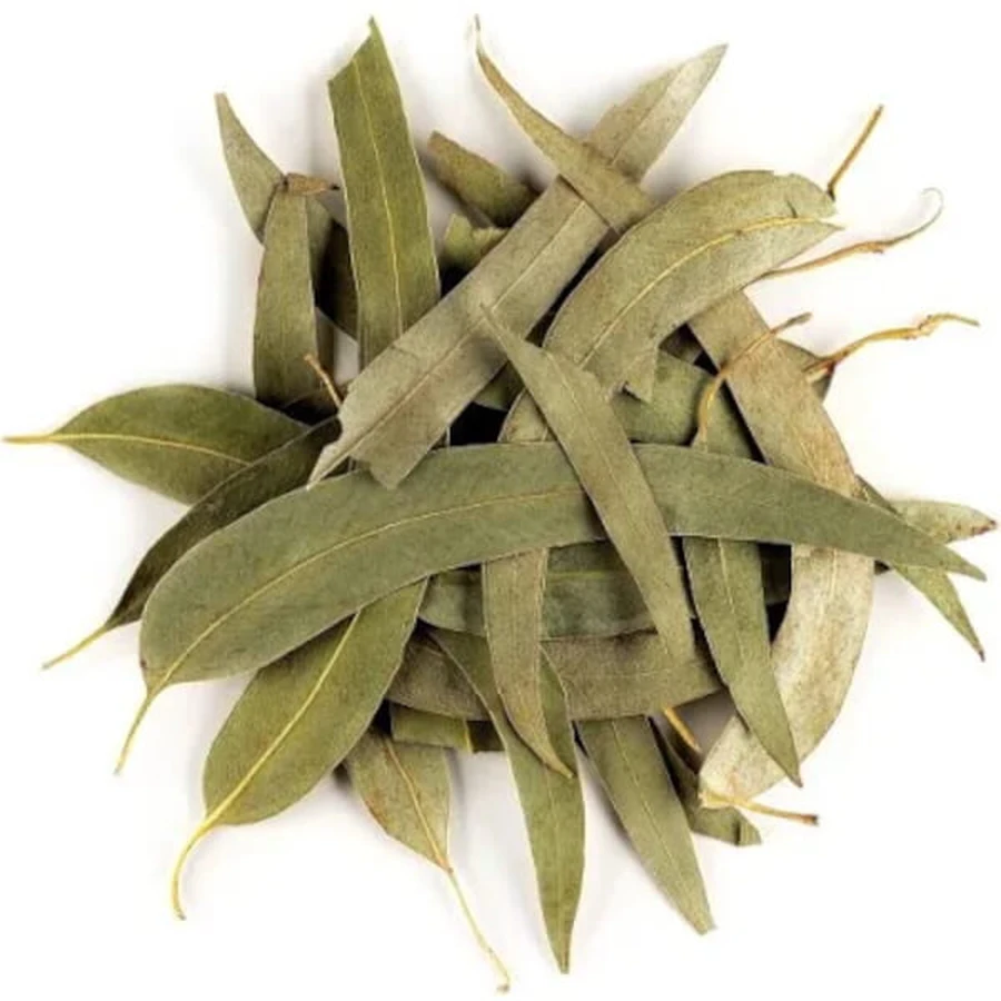 Tisane d'eucalyptus à feuilles entières 100 g