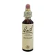 Mustard Bach Center 20ml
