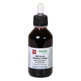 Birke Bi Lymphe Mg Bio 100ml