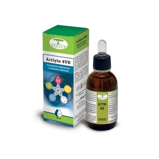 Actiyin 4VB Tropfen 50ml