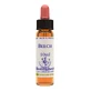 HÊTRE ESS 10ML INGL HERBES