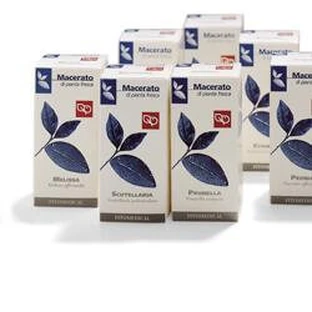 PFINGSTROSE 50ML TM FTM
