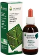 CURRANT NIGRUM GD 33 ORGANIC 100ML