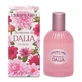 Shades Of Dahlia Perfume 50 Ml
