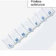 PB PHARMA Pill Pill Sett.