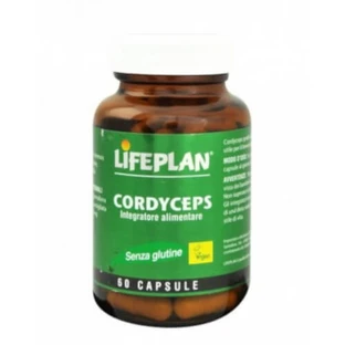 Cordyseps 60 Kapseln