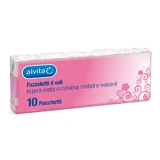 PAPIEREN ZAKDOEKJES ALVITA 10X10