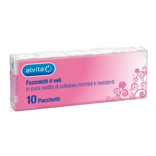 PAPIEREN ZAKDOEKJES ALVITA 10X10