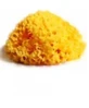 SPONGE NAT MEDITE LAB ATENEI16