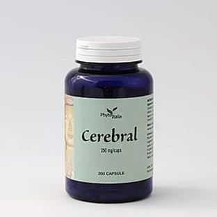 Cerebral Ayurved 60 Capsules