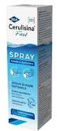 CERULISIN SCHNELL N/O SPRAY100ML
