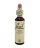 BACH CENTER ESS VERVAIN 20ML