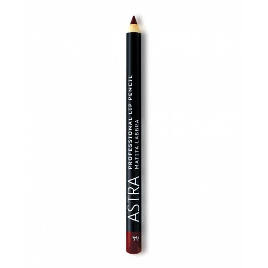 ASTRA LAPIZ DE LABIOS PROFESIONAL 44 BRICK KICK