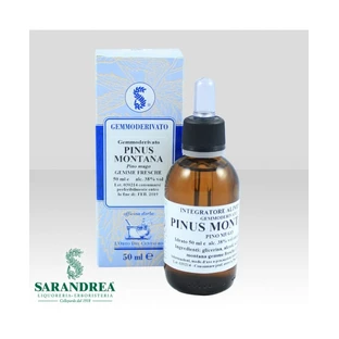 EXTRAGEM Mugo Pine Buds 20ml