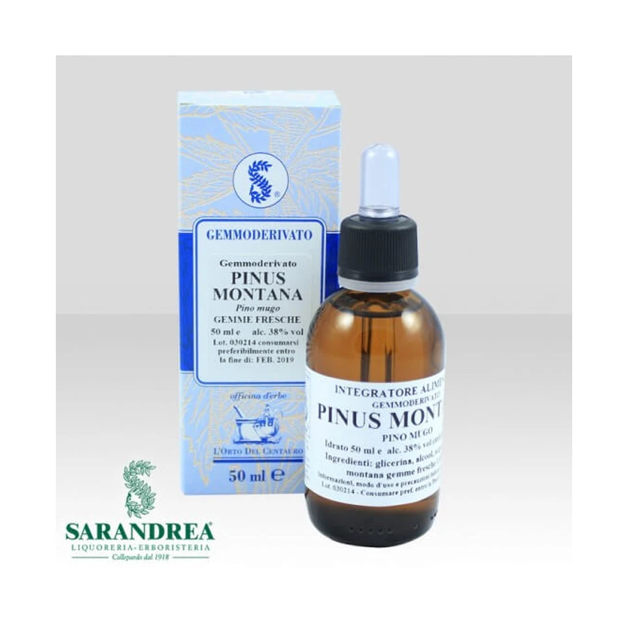 EXTRAGEM Mugo Pine Buds 20ml
