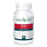 Nettle 60 Capsules 400mg Erbavita
