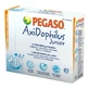 Axidophilus Junior 14 Sachets