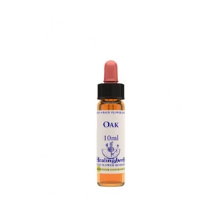 Oak Essence 10 Ml 1 Piece