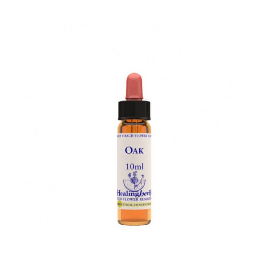 Oak Essence 10 Ml 1 Piece