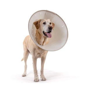 KVP ELIZABETHAN BIODEGRADABLE BETTER COLLAR TG. "M" 18-30 CM
