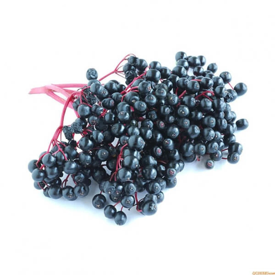 Bayas de saúco 100 g