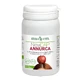 NEWCAP ANNURCA 45 CAPSULES HERB VITA