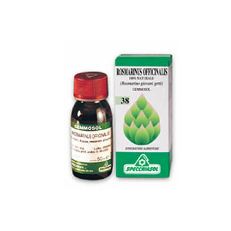 Rosmarin 1 DH Knospen 50ml