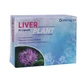 LIVER PLANT 30CPS "P.GRAIN"