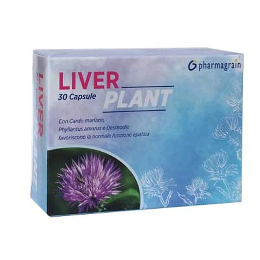 LIVER PLANT 30CPS "P.GRAIN"