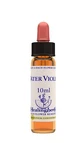 Water Violet Essentie 10 Ml 1 Stuk