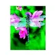 Dragonfly Dragonfly Ess 30ml